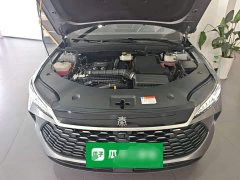 BYD Qin PLUS DM-i Smart Driving Edition 120KM Excellence - ფოტო 20