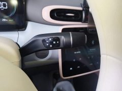 Leapmotor T03 310 Comfort Edition - ფოტო 14
