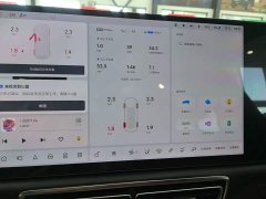Li Auto L7 Pro - ფოტო 12