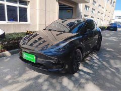 Tesla Model Y Rear-Wheel Drive - ფოტო 2