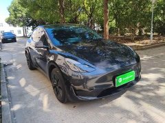 Tesla Model Y Rear-Wheel Drive - ფოტო 4