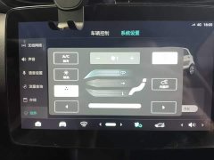 Leapmotor T03 310 Comfort Edition - ფოტო 13