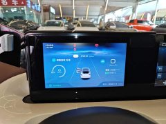Wuling Binguo 333km Joy Edition - ფოტო 12
