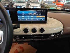 Wuling Binguo 333km Joy Edition - ფოტო 13