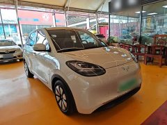Wuling Binguo 333km Joy Edition - ფოტო 4