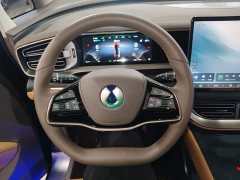 Denza BYD Denza D9 2022 DM-i 970 AWD Premium Edition - ფოტო 11