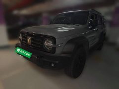 Tank 300 Off-Road Edition 2.0T Conqueror - ფოტო 1
