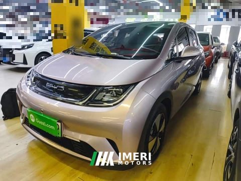 2023 BYD Dolphin 420km Fashion Edition - ავტომობილი ჩინეთიდან