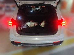 Geely Xingyue L 2021 2.0T DCT EVO FWD Smart Premium Edition - ფოტო 10
