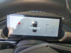 XPeng P5 2021 460G - ფოტო 12