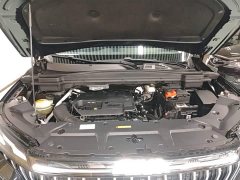Dongfeng Haoji Mach Power 1.5T Dare Enjoy Edition Smart - ფოტო 20