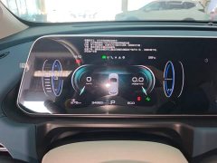 ORA Good Cat 2023 401km Standard Range Comfort Edition LFP Battery - ფოტო 12
