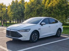 BYD Qin PLUS 2024 Glory Edition DM-i 55KM Leading - ფოტო 3