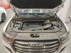 Haval H6 2021 National Trend Edition 1.5T Automatic Urban Version - ფოტო 20