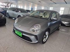 ORA Good Cat 430km Deluxe Edition - ფოტო 1