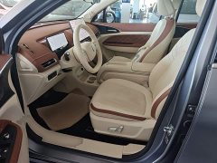ORA Good Cat 430km Deluxe Edition - ფოტო 15