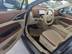 ORA Good Cat 430km Deluxe Edition - ფოტო 16