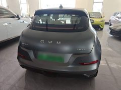 ORA Good Cat 430km Deluxe Edition - ფოტო 6