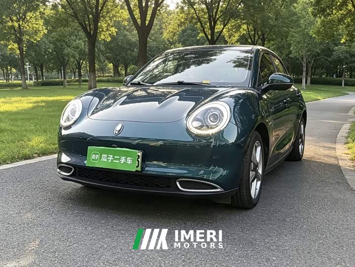 ORA Good Cat 400km Standard Range Venus Edition LFP Battery - ავტომობილი ჩინეთიდან