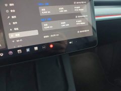 Tesla Model Y Performance - ფოტო 12