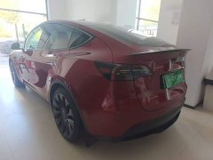Tesla Model Y Performance - ფოტო 5