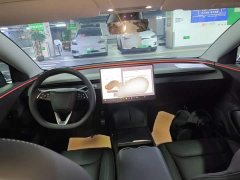 Tesla Model 3 2023 Long Range All-Wheel Drive - ფოტო 10