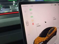 Tesla Model 3 2023 Long Range All-Wheel Drive - ფოტო 14