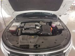BYD Destroyer 05 Glory Edition DM-i 120KM Luxury - ფოტო 16