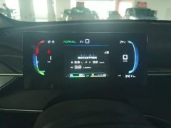 BYD Destroyer 05 Glory Edition DM-i 120KM Luxury - ფოტო 8