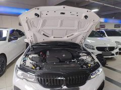 BMW 3 Series Facelift 320Li M Sport Package - ფოტო 20