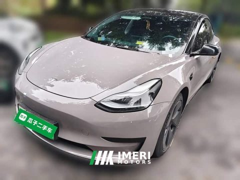 2022 Tesla Model 3 Rear-Wheel Drive - ავტომობილი ჩინეთიდან