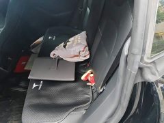 Tesla Model 3 Rear-Wheel Drive - ფოტო 15