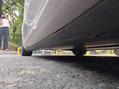 Tesla Model 3 Rear-Wheel Drive - ფოტო 16