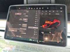 Tesla Model 3 Rear-Wheel Drive - ფოტო 19