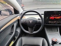 Tesla Model 3 Rear-Wheel Drive - ფოტო 3