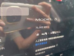 Tesla Model 3 Rear-Wheel Drive - ფოტო 5