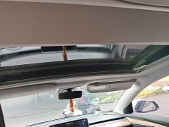 Tesla Model 3 Rear-Wheel Drive - ფოტო 9