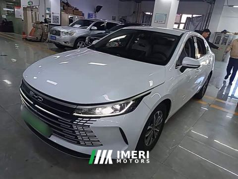 2024 BYD Destroyer 05 Glory Edition DM-i 55KM Luxury