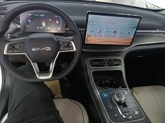 BYD Destroyer 05 Glory Edition DM-i 55KM Luxury - ფოტო 10