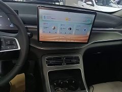 BYD Destroyer 05 Glory Edition DM-i 55KM Luxury - ფოტო 13