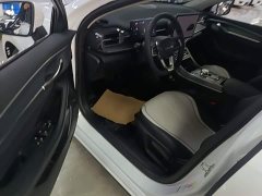 BYD Destroyer 05 Glory Edition DM-i 55KM Luxury - ფოტო 16
