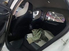 BYD Destroyer 05 Glory Edition DM-i 55KM Luxury - ფოტო 17