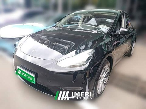 2021 Tesla Model Y Standard Range RWD - ავტომობილი ჩინეთიდან