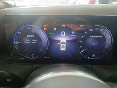 FAW Red Flag HS3 PHEV 2024 115km Dynamic Edition - ფოტო 12