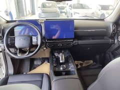 Haval Big Dog PLUS New Energy DHT-PHEV 105km Trendy Electric Edition Plus - ფოტო 10