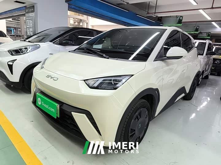 BYD Seagull Glory Edition 305km Vitality Version - ავტომობილი ჩინეთიდან