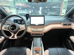 BYD Seagull Glory Edition 305km Vitality Version - ფოტო 10