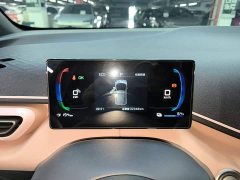 BYD Seagull Glory Edition 305km Vitality Version - ფოტო 12