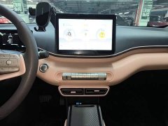 BYD Seagull Glory Edition 305km Vitality Version - ფოტო 13