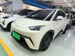 BYD Seagull Glory Edition 305km Vitality Version - ფოტო 2